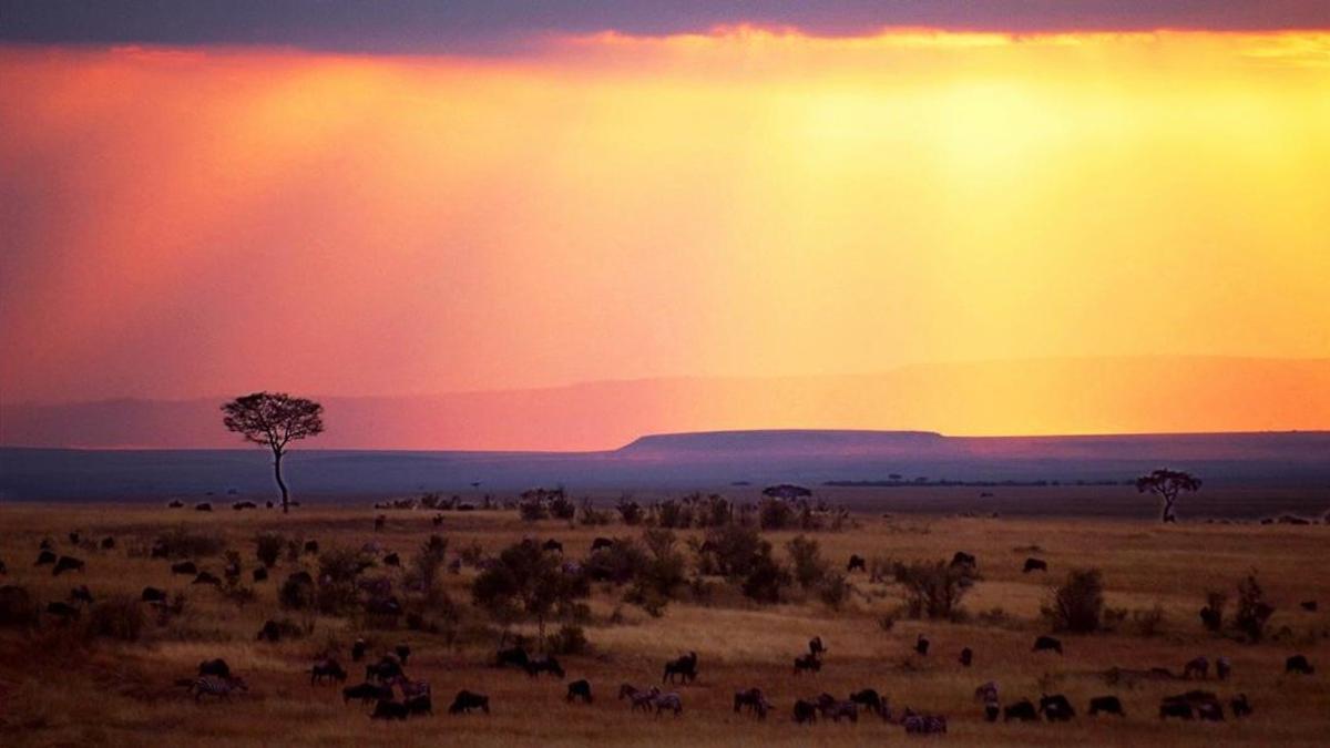 Puesta de sol en Masai Mara (Kenia), en el 2010.