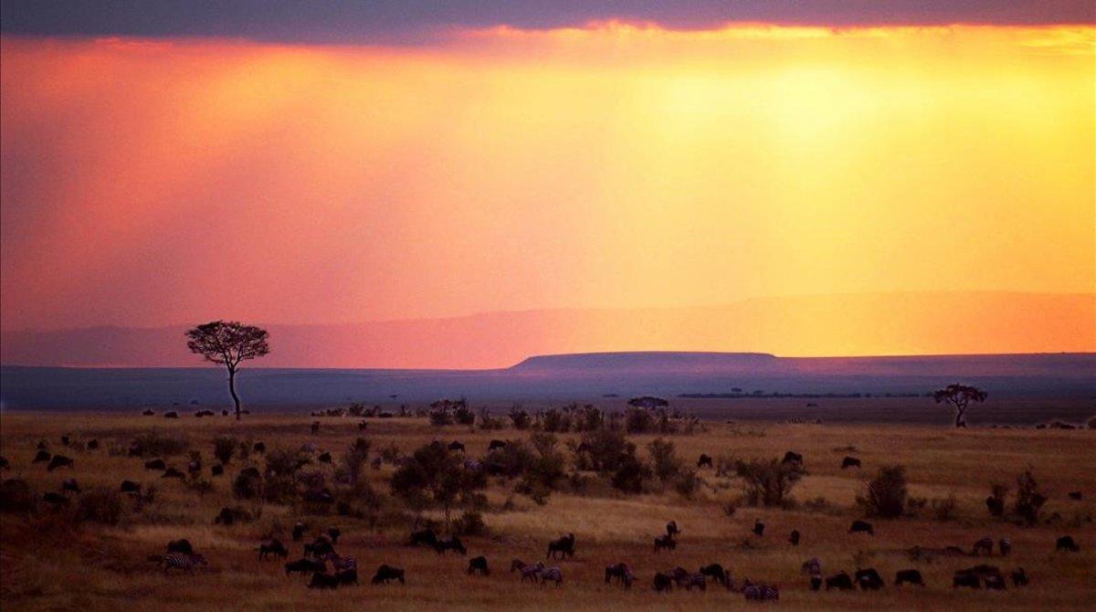 zentauroepp46471924 para libro de xavier moret sobre africa puesta de sol en mas190111123240