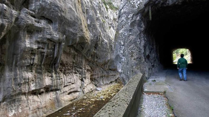 Un paseante por el túnel de Peñas Juntas, en la Senda del Oso.