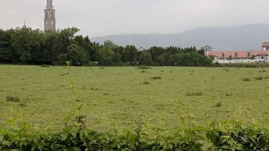 Vista de la zona de ampliación del Parque Tecnológico.