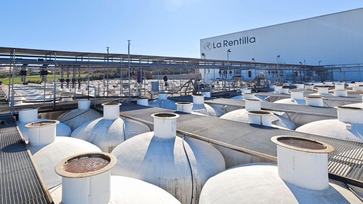 Depósitos de aceite de La Rentilla, muy cerca de La Vereda.