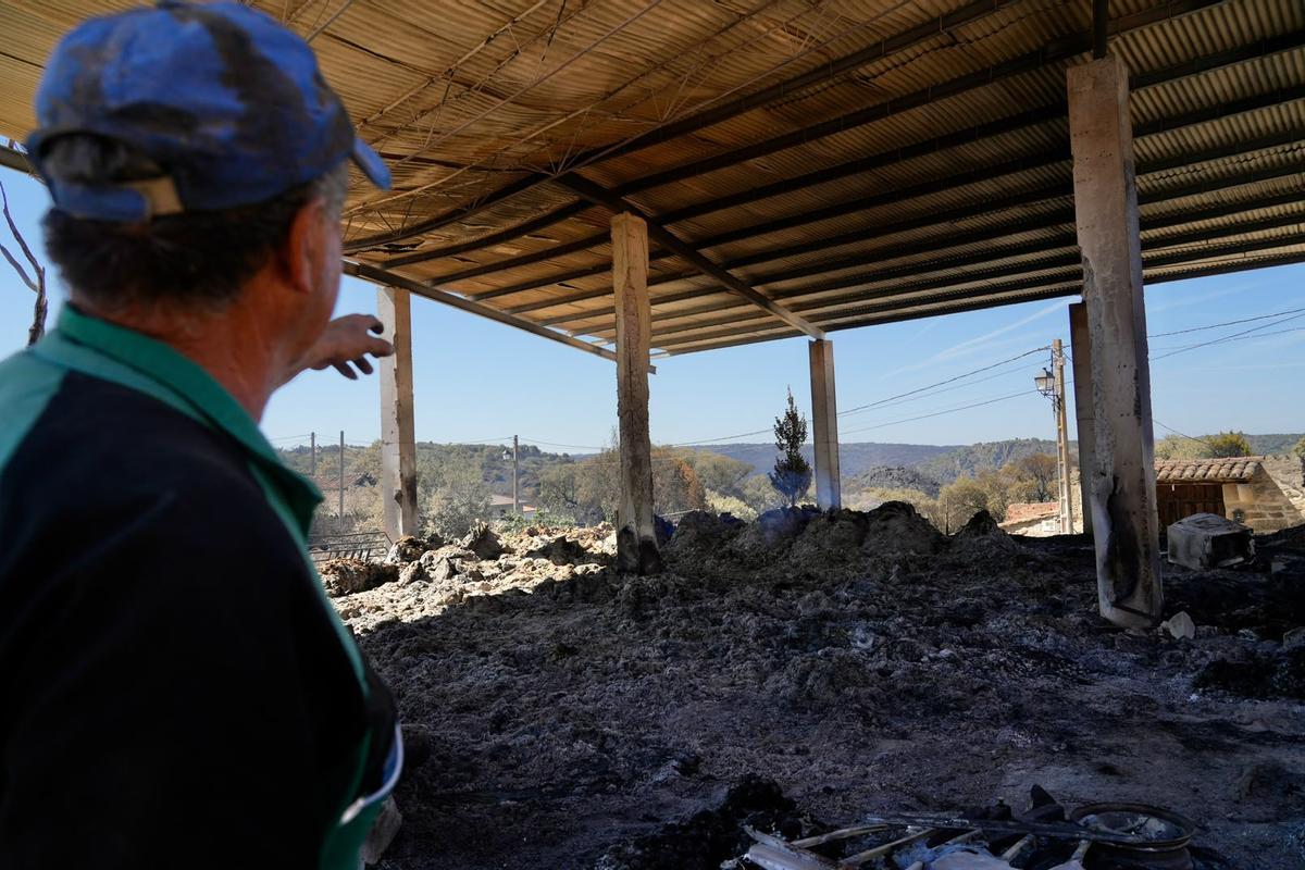 GALERÍA | El paso del fuego por Mámoles arrasa la explotación de Alfredo Fernándes