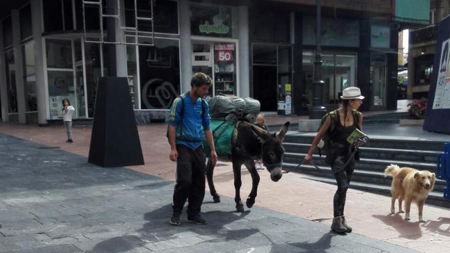 Una pareja de peregrinos atraviesa el centro de Oviedo con un burro