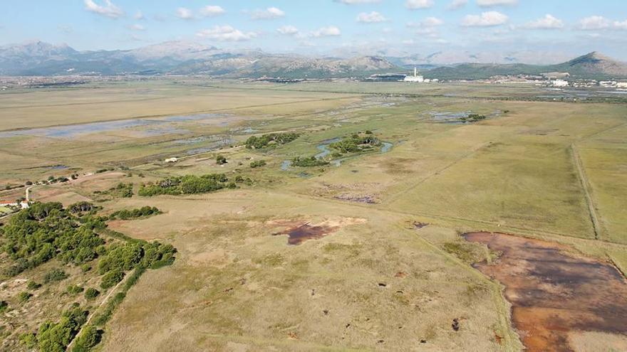 Vista aérea de los terrenos de Son Bosc, en Muro, donde se pretendía construir un campo de golf.