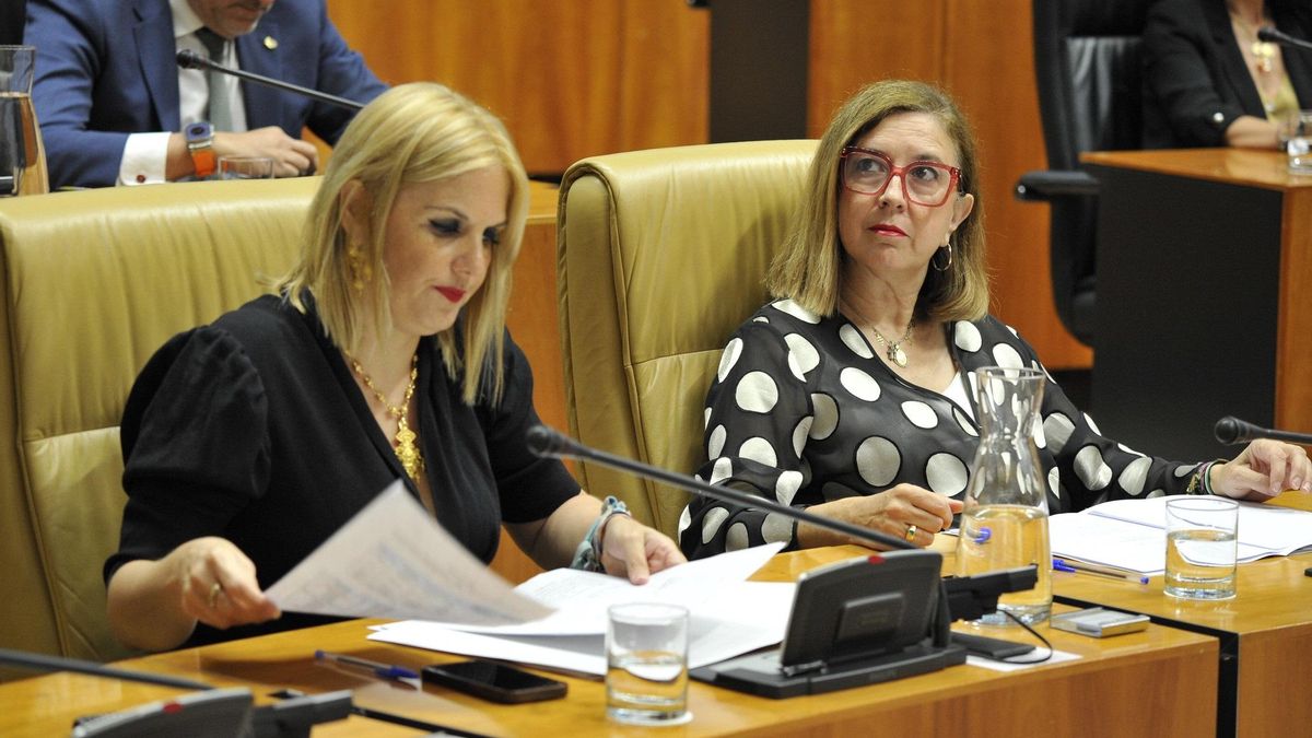 La Asamblea de Extremadura convalida el decreto-ley de medidas urgentes en materia de Función Pública.