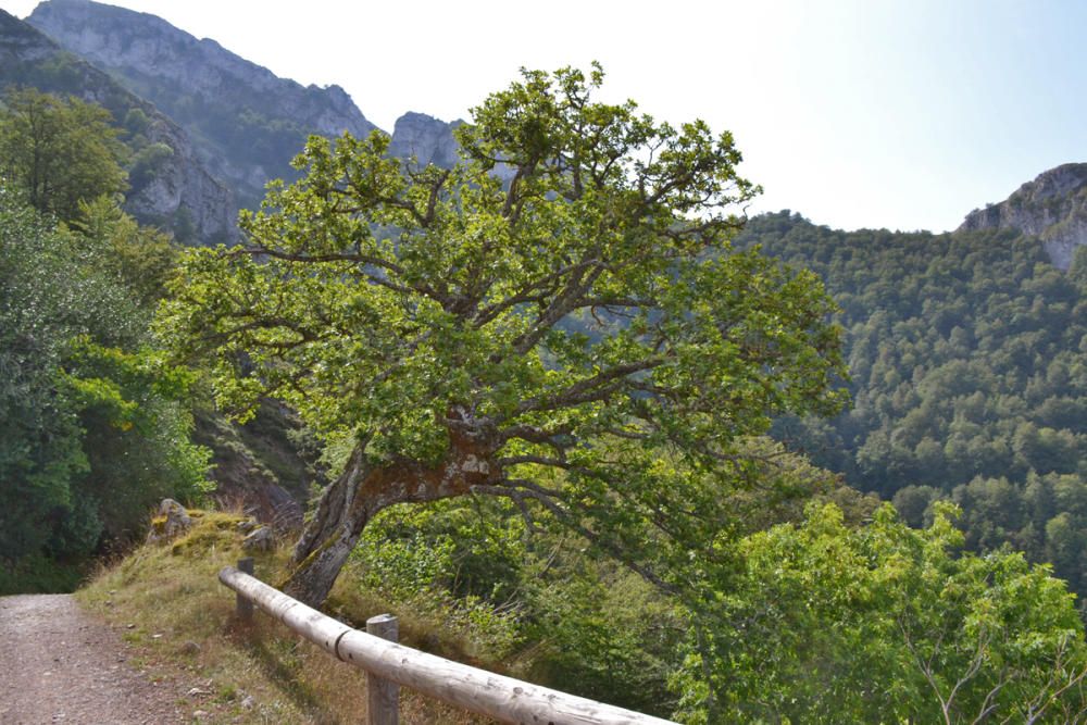 José Manuel Prado enseña el refugio de montaña de Brañagallones