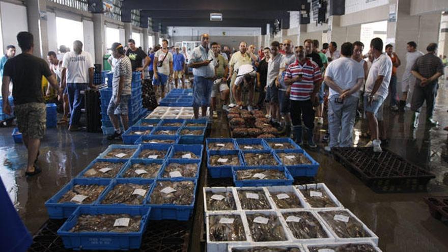 El puerto de Caleta de Vélez es el más importante de la provincia y uno de los cuatros principales de Andalucía.