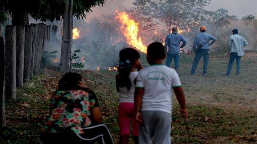 Brasil enfrenta a una nueva amenaza ecológica: los incendios en el Pantanal