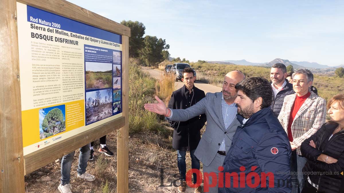 Bosque Disfrimur