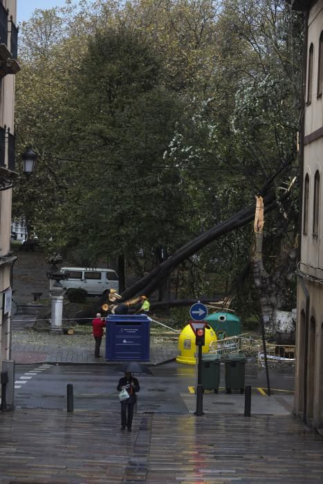 Las consecuencias de la tormenta en Avilés.