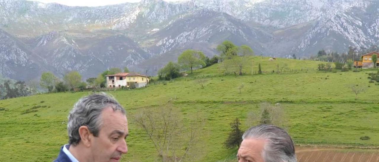 Pepe Hidalgo -izquierda- y Antón Puente, frente a uno de los viñedos, el pasado mes de mayo.