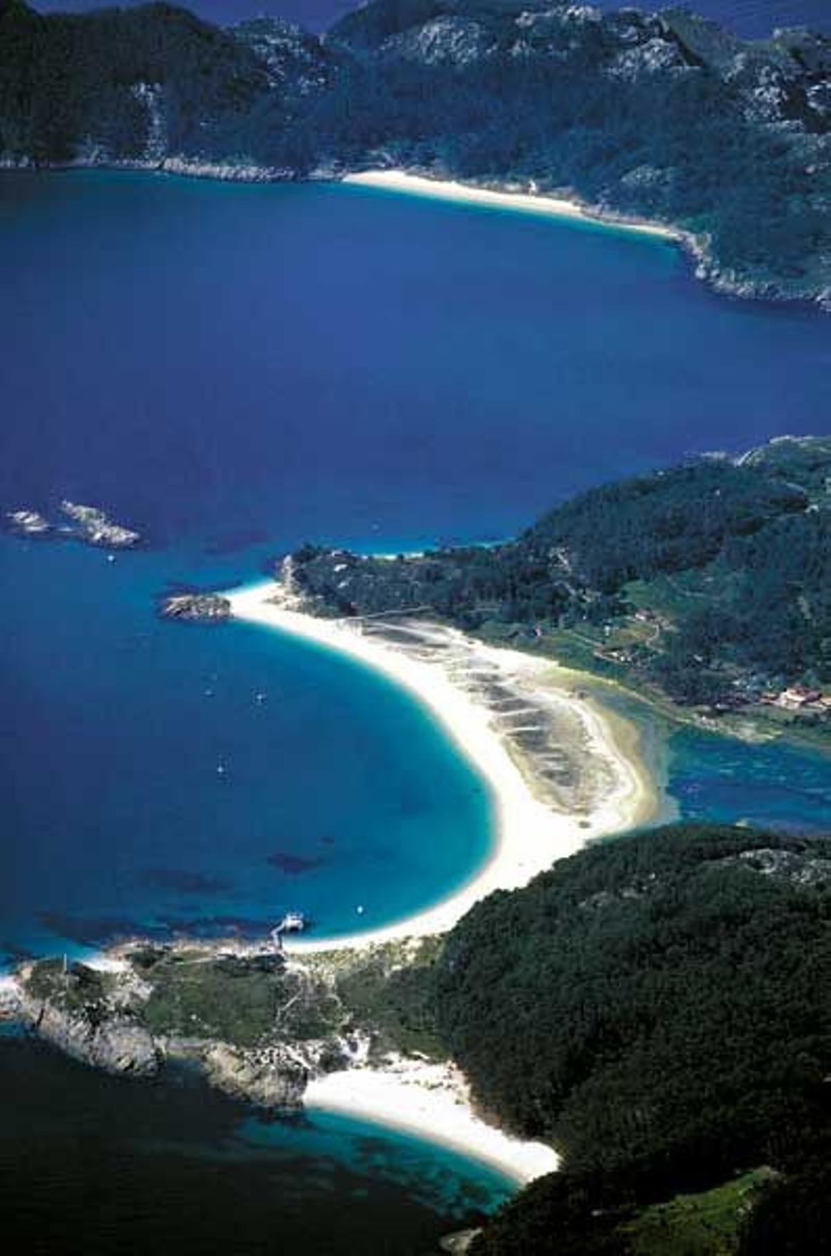 Cies