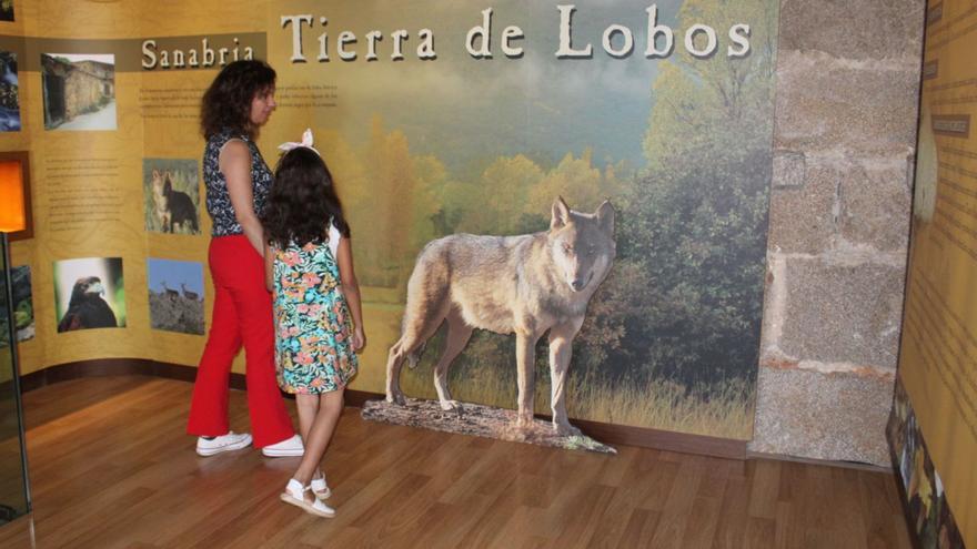 Una sonrisa del Sáhara en Sanabria