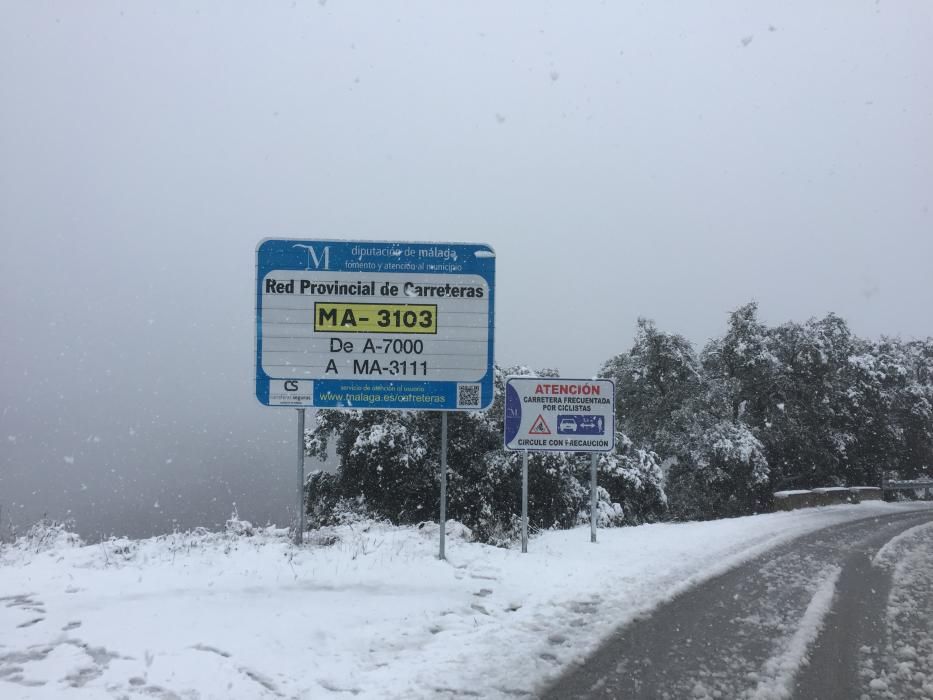Las primeras nevadas llegan al Puerto del León, en los Montes de Málaga, que se sitúa a 900 metros de altura
