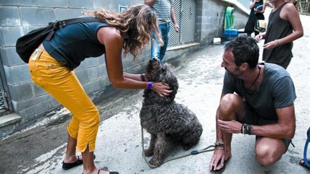 El reencuentro 8 Ivonne y Marc, ayer por la mañana, en el momento de recoger en la perrera a Brut, su perro perdido desde el mes de mayo.