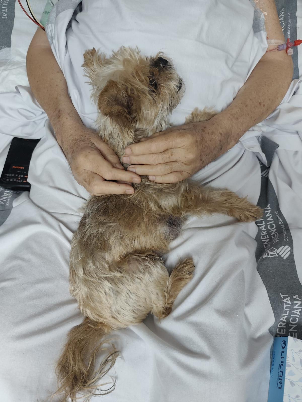 Una altra imatge de la despedida