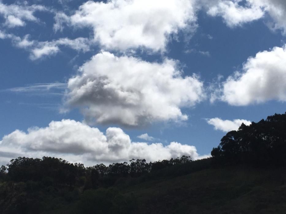 Tiempo en Gran Canaria (19/04/20)