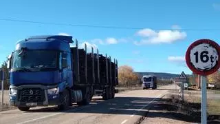 Camiones de gran tonelaje con madera quemada "destrozan" la carretera de Ferreras de Abajo