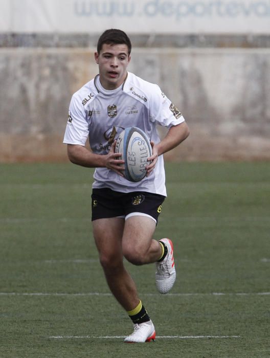 Les Abelles- tatami, rugby