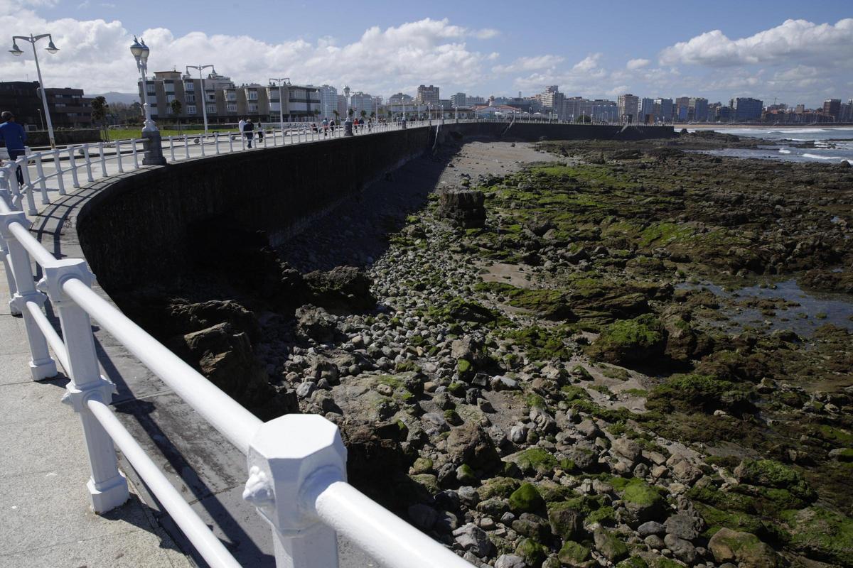 El avance en la primera fase de la playa verde del Rinconín, en imágenes El avance en la primera fase de la playa verde del Rinconín, en imágenes
