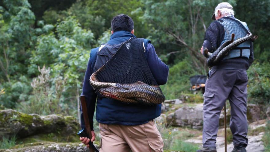 Pescadores de lamprea cos exemplares ás costas.  |