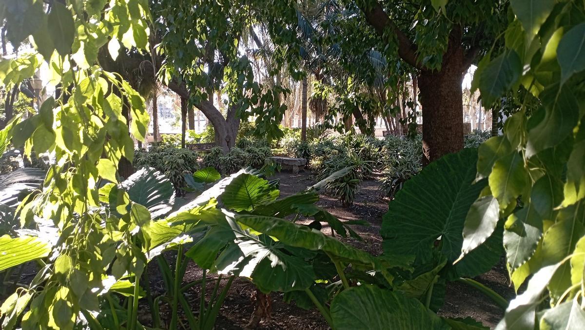 Un rincón del Parque de Málaga.
