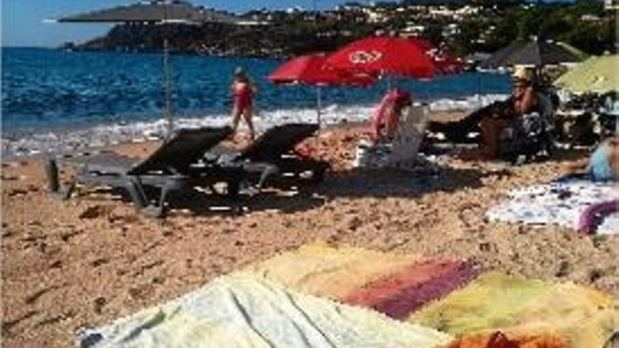 Banyistes de la platja de Sant Pol es queixen per les gandules arran de mar