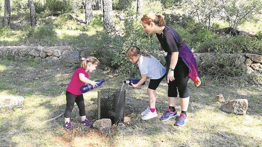 Les families celebren el dia de l’arbre al desert