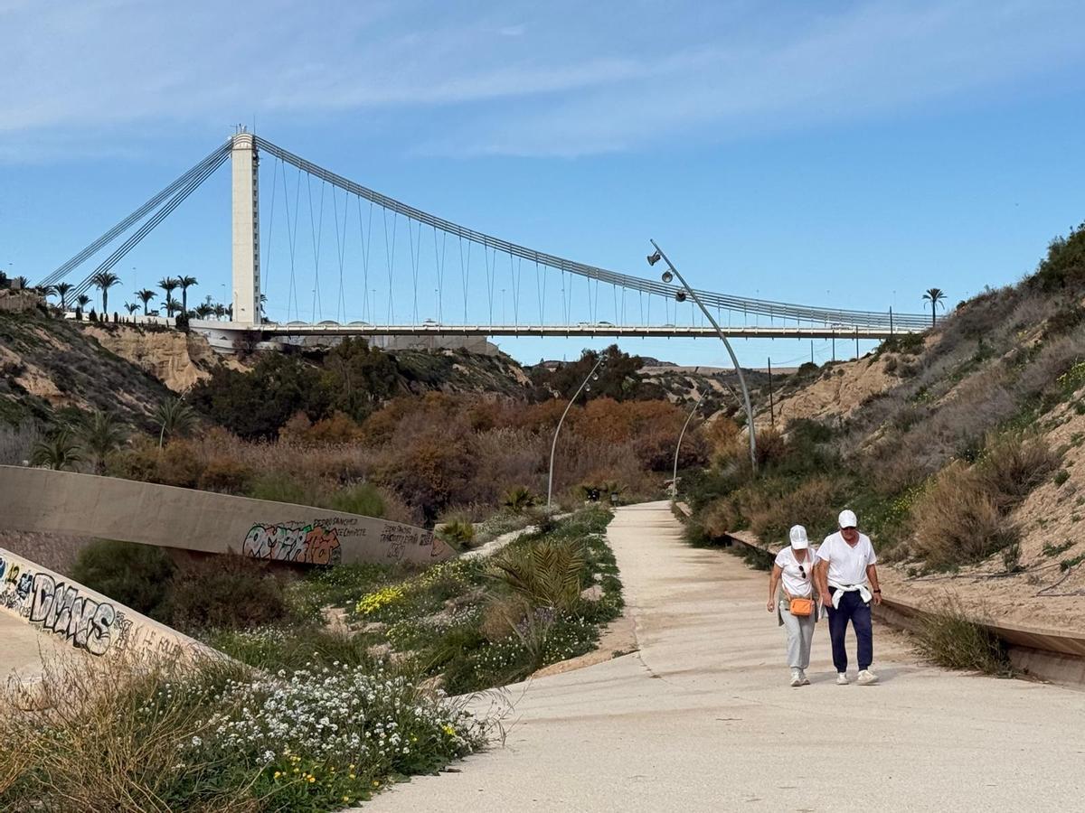 Una vista del Pont del Bimil·lenari, desde la ladera del río Vinalopó.