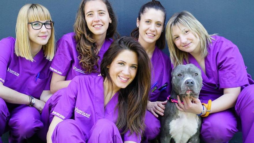 El hospital veterinario Valencia Sur  tendrá 800 m2 más para nuevos servicios