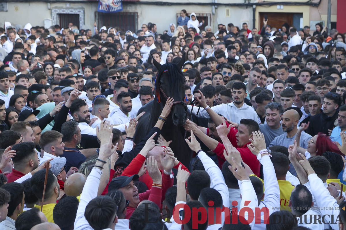 Entrega de premios del concurso de 'Caballo a pelo' en Caravaca