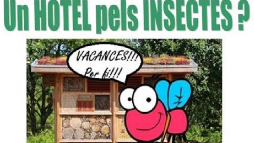 Taller d&#039;abelles i insectes pol·linitzadors