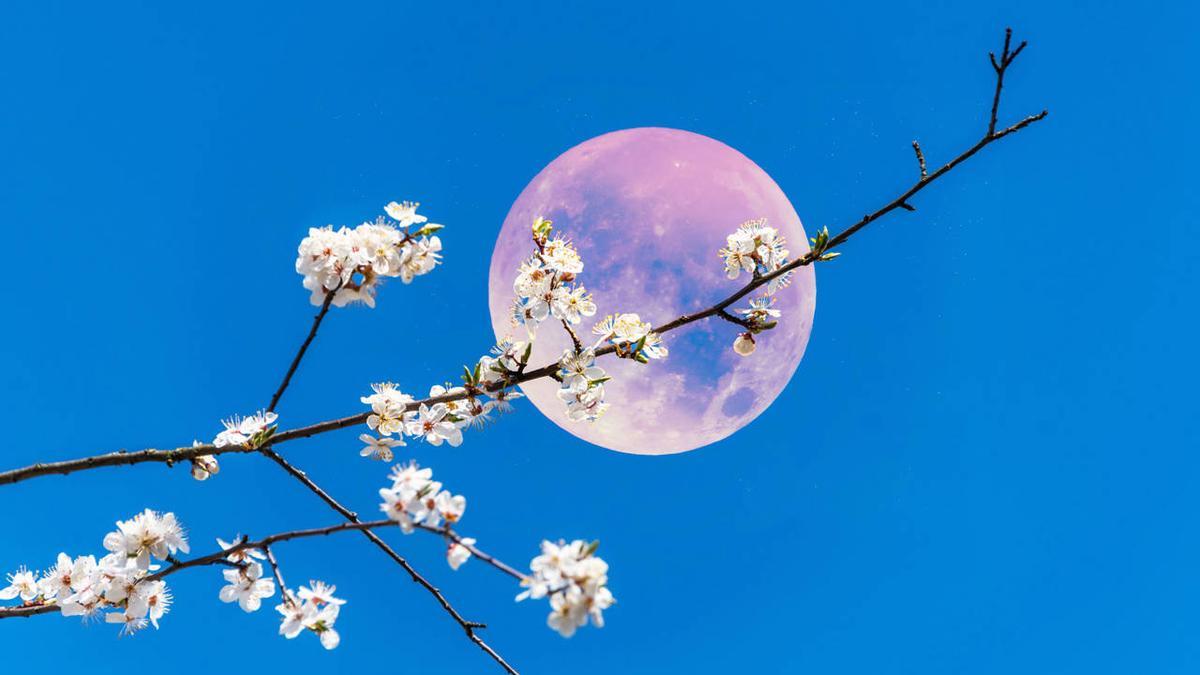 La luna rosa