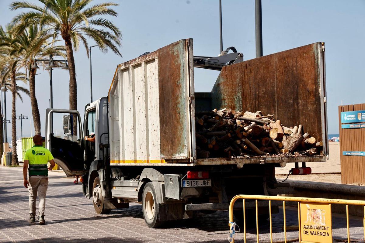 Reparto de leña para la noche de San Juan en València Reparto de leña para la noche de San Juan en València