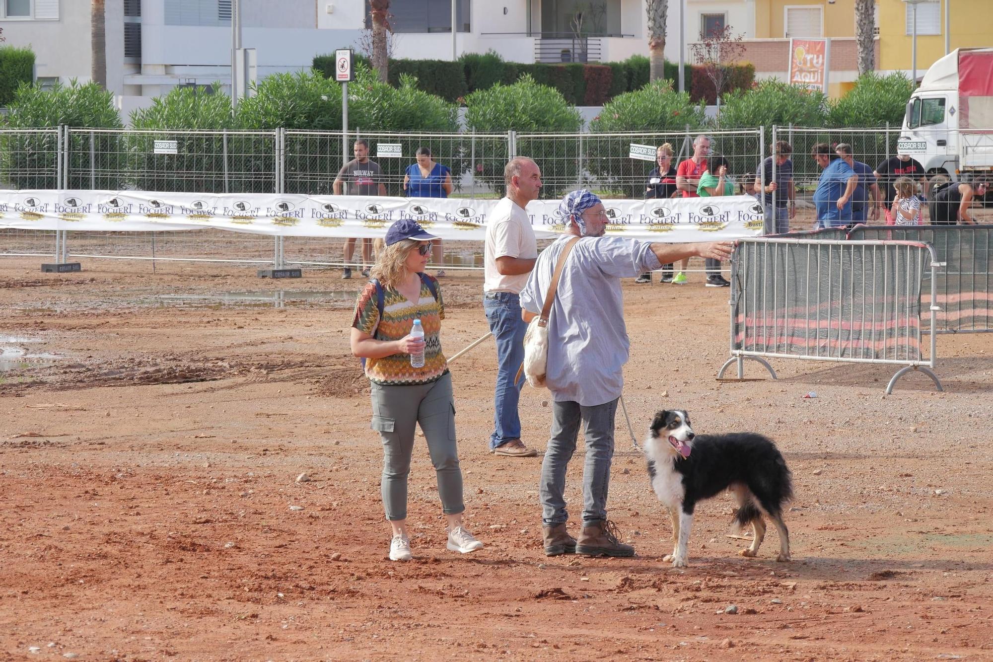 La Fira Agrícola de Nules, en imágenes