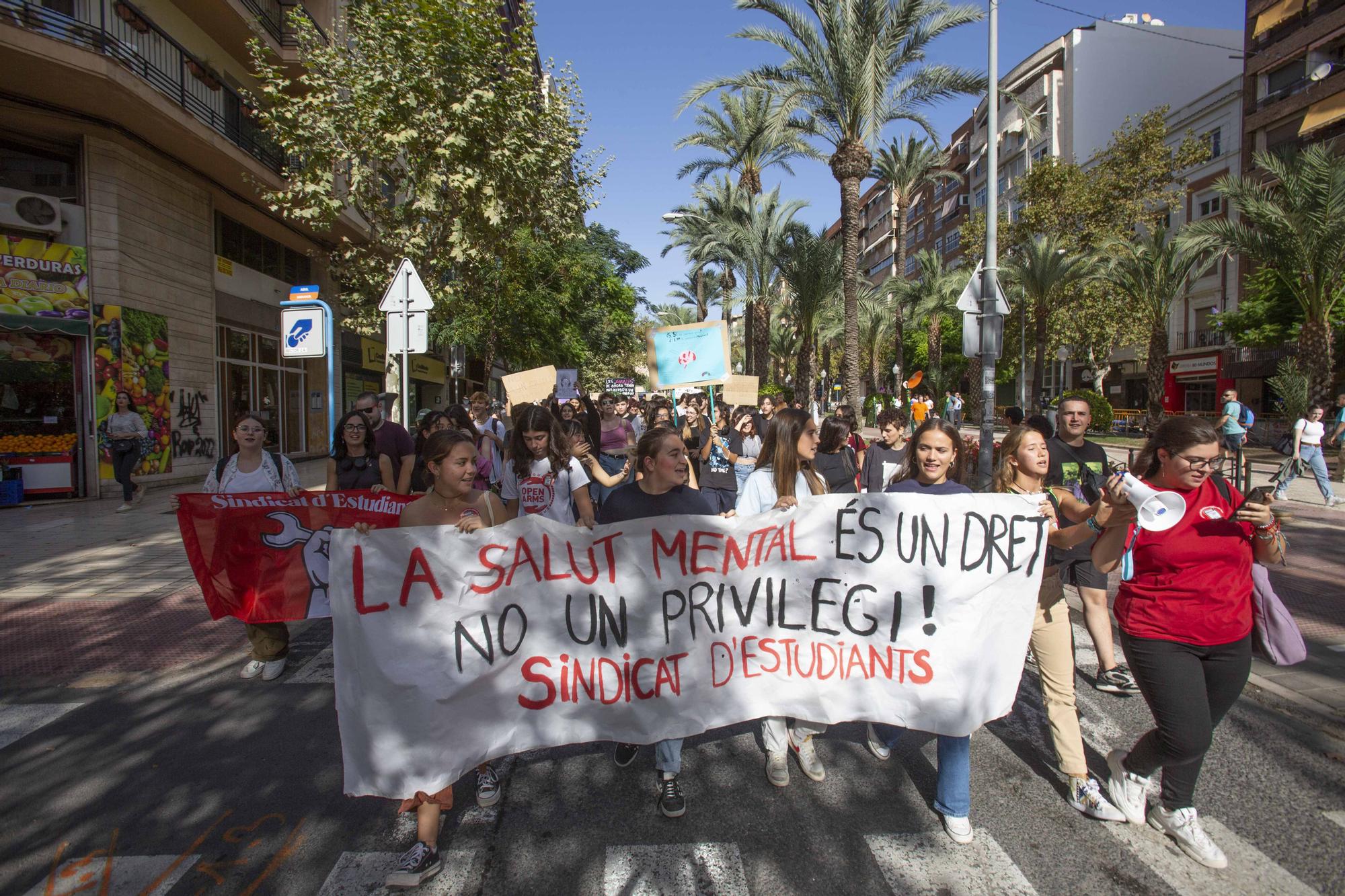 Estudiantes de Alicante reclamar más medios para la salud mental a Sanidad