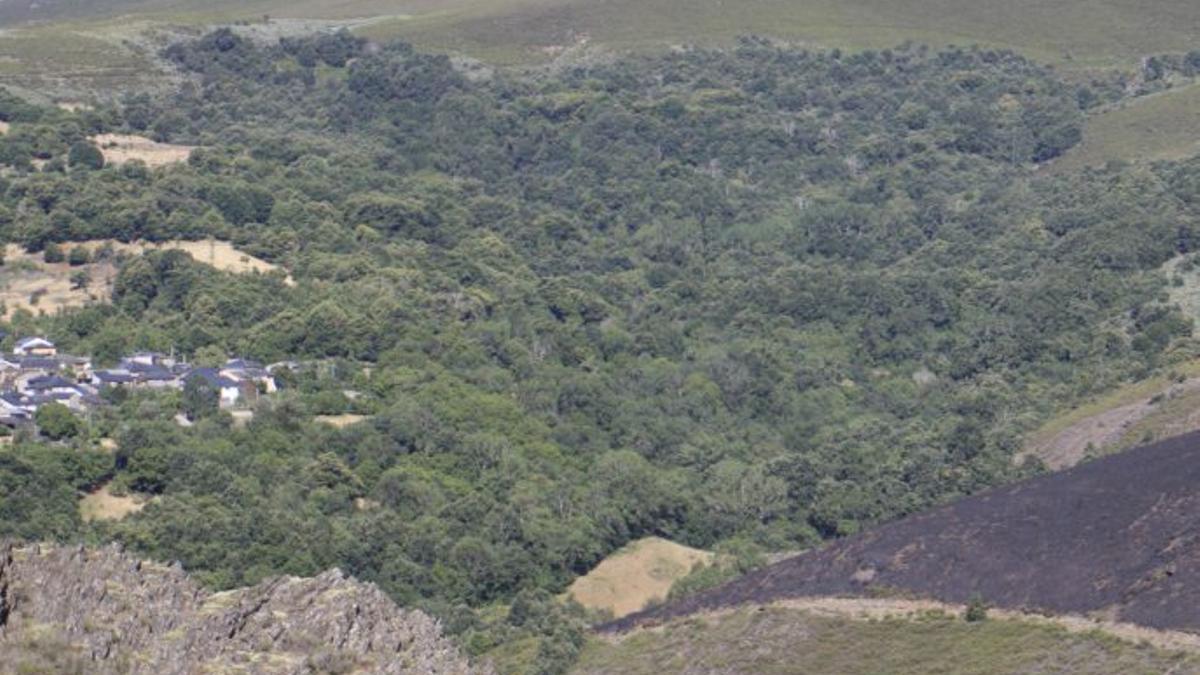 San Ciprián de Hermisende, a la caza del pirómano