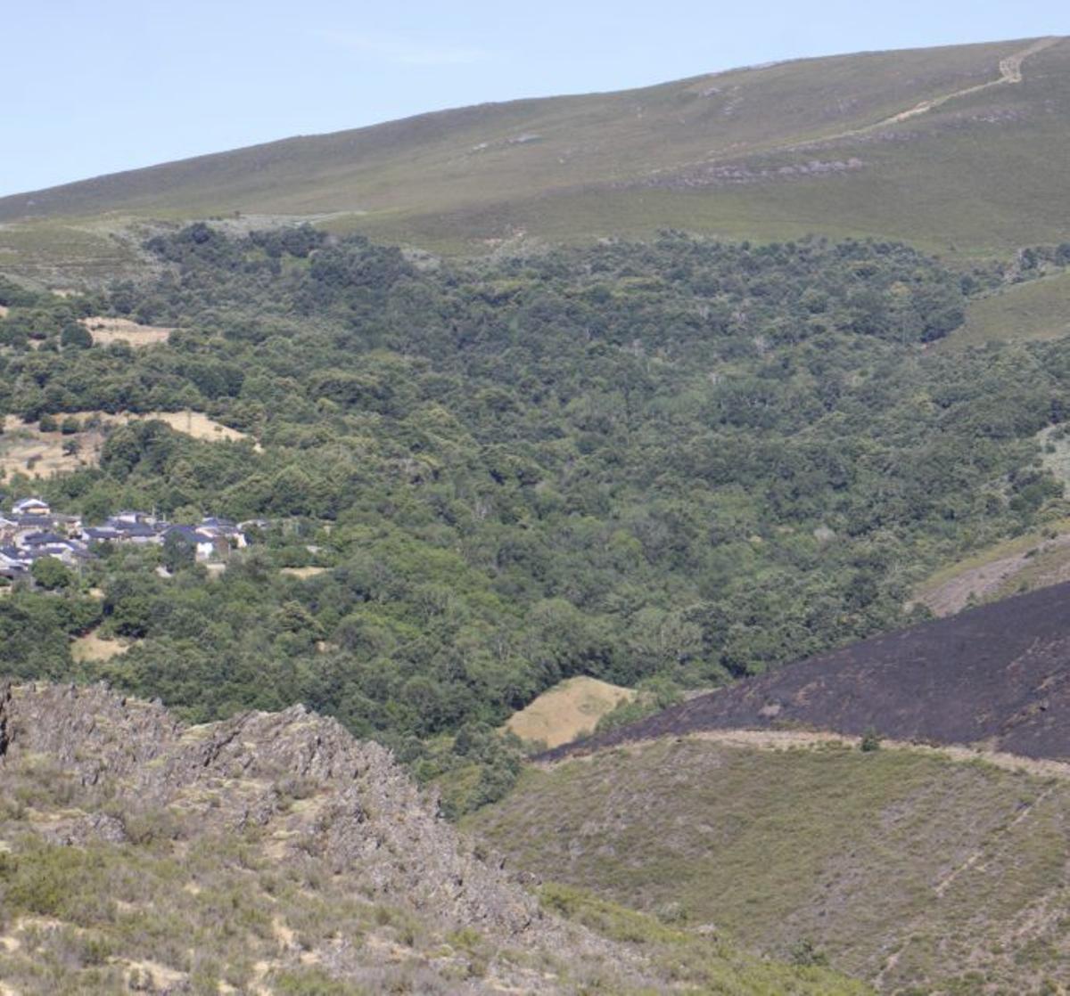 San Ciprián de Hermisende, a la caza del pirómano