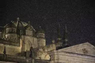 GALERÍA | Las imágenes más bonitas de la nevada de este sábado en Zamora