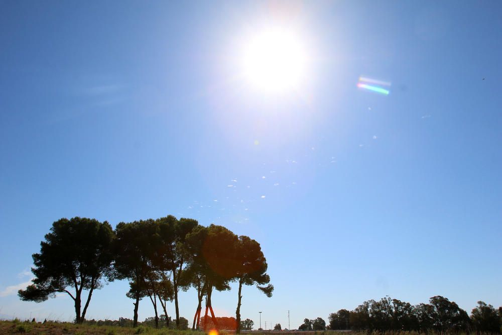 Inauguración del parque del Campamento Benítez.