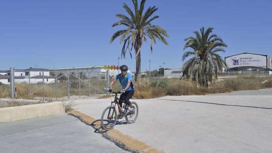 La UMH aliviará la congestión del tráfico de acceso al campus de Elche