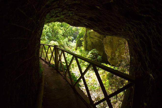 Cueva en el Bosque de Los Tilos, La Palma