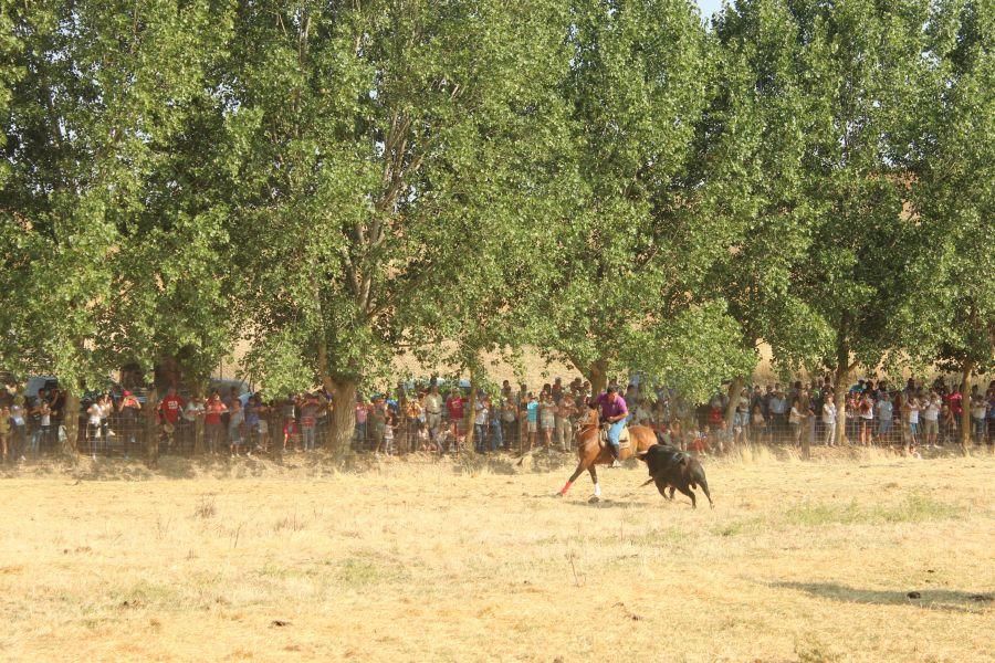 Fiestas en Zamora: Villamor de los Escuderos