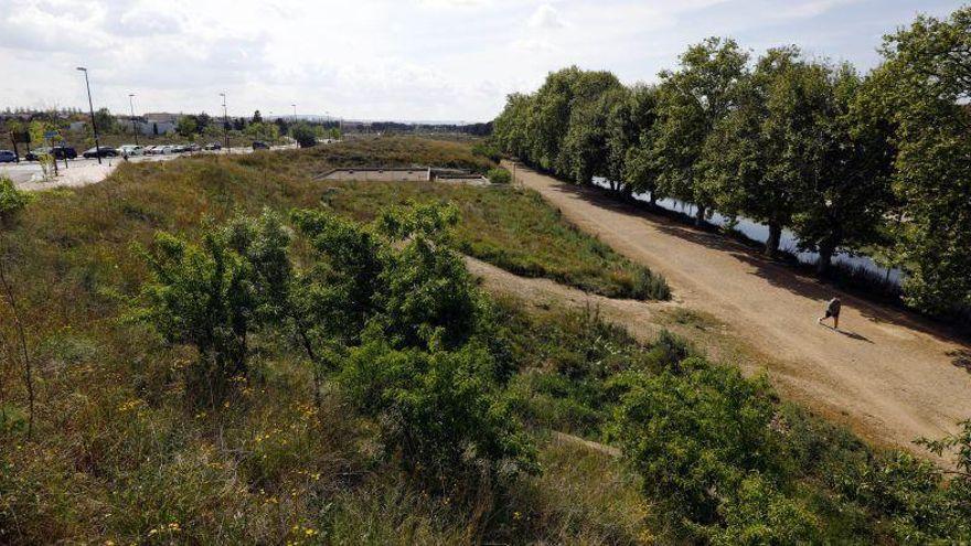 Zaragoza tiene previsto plantar 700.000 árboles