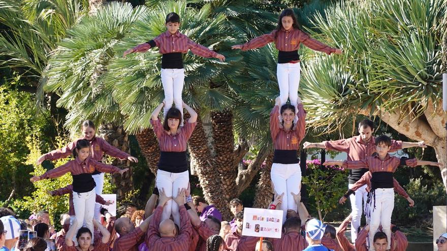 La VII Trobada de Muixerangues d’Alacant mostra el bon nivell tècnic de les colles participants