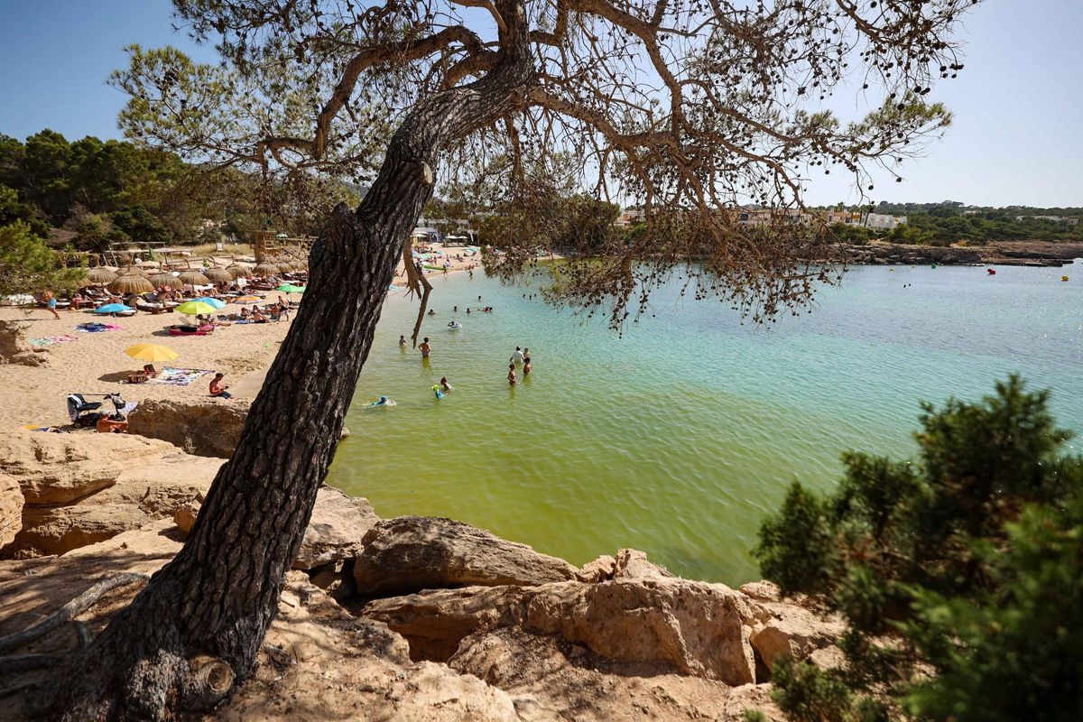 Mancha de microalgas hace apenas una semana en Cala Tarida.