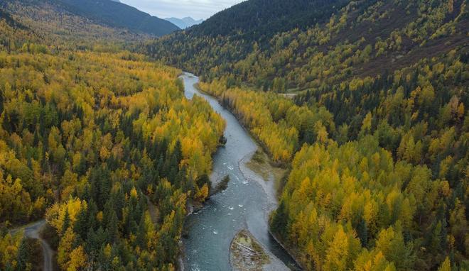 Los bosques de Alaska donde se refugia Alex Supertramp