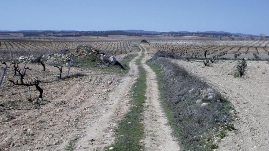 La Vía Verde de las Hoces del Cabriel 1