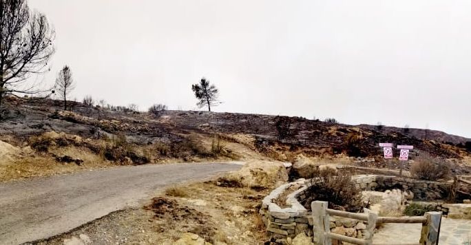 Espectaculares imágenes del incendio en Bejís