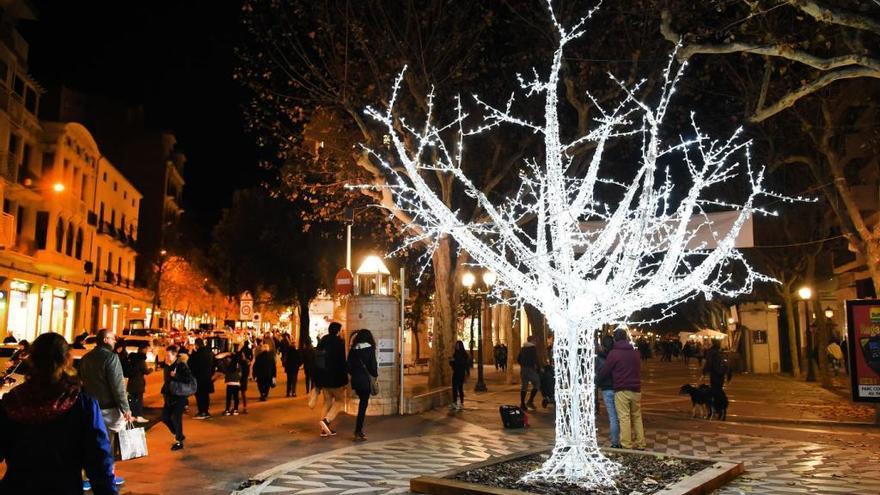 L&#039;espectacular arbre de Crist Rei